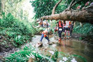 BIB: 
                            <button type="button" onclick="openModal(25514967)" class="btn btn-primary btn-sm float-right btn-popup" data-toggle="modal" data-target=".modal-high-quality">
                        <i class="fas fa-shopping-cart"></i> Add to Cart
                    </button>
                                            <button type="button" onclick="isThisMe(25514967, true)" class="btn btn-success btn-sm float-right btn-popup btn-isme hidden" data-toggle="tooltip" data-placement="bottom" title="นี่คือรูปของคุณใช่ไหม คลิกที่นี่เพื่อเอาเข้าอัลบั้ม">
                        <i class="fas fa-plus"></i> Add to album
                    </button>
                    <button type="button" onclick="isThisMe(25514967, false)" class="btn btn-warning btn-sm float-right btn-popup btn-isnotme hidden">
                        <i class="fas fa-ban"></i> Remove from album
                    </button>